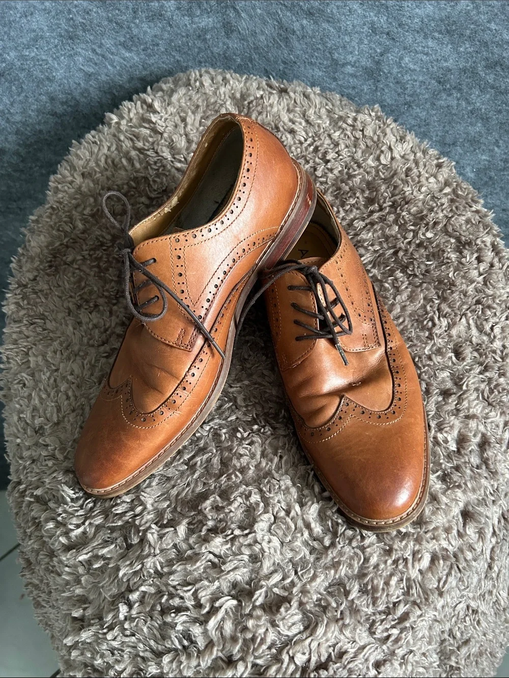 Aldo Tan Leather Wingtip Oxfords